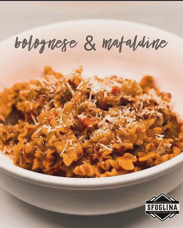 bolognese